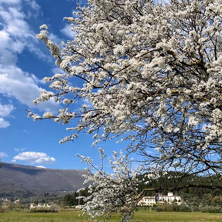 Accanto A Firenze Πράτο Εξωτερικό φωτογραφία