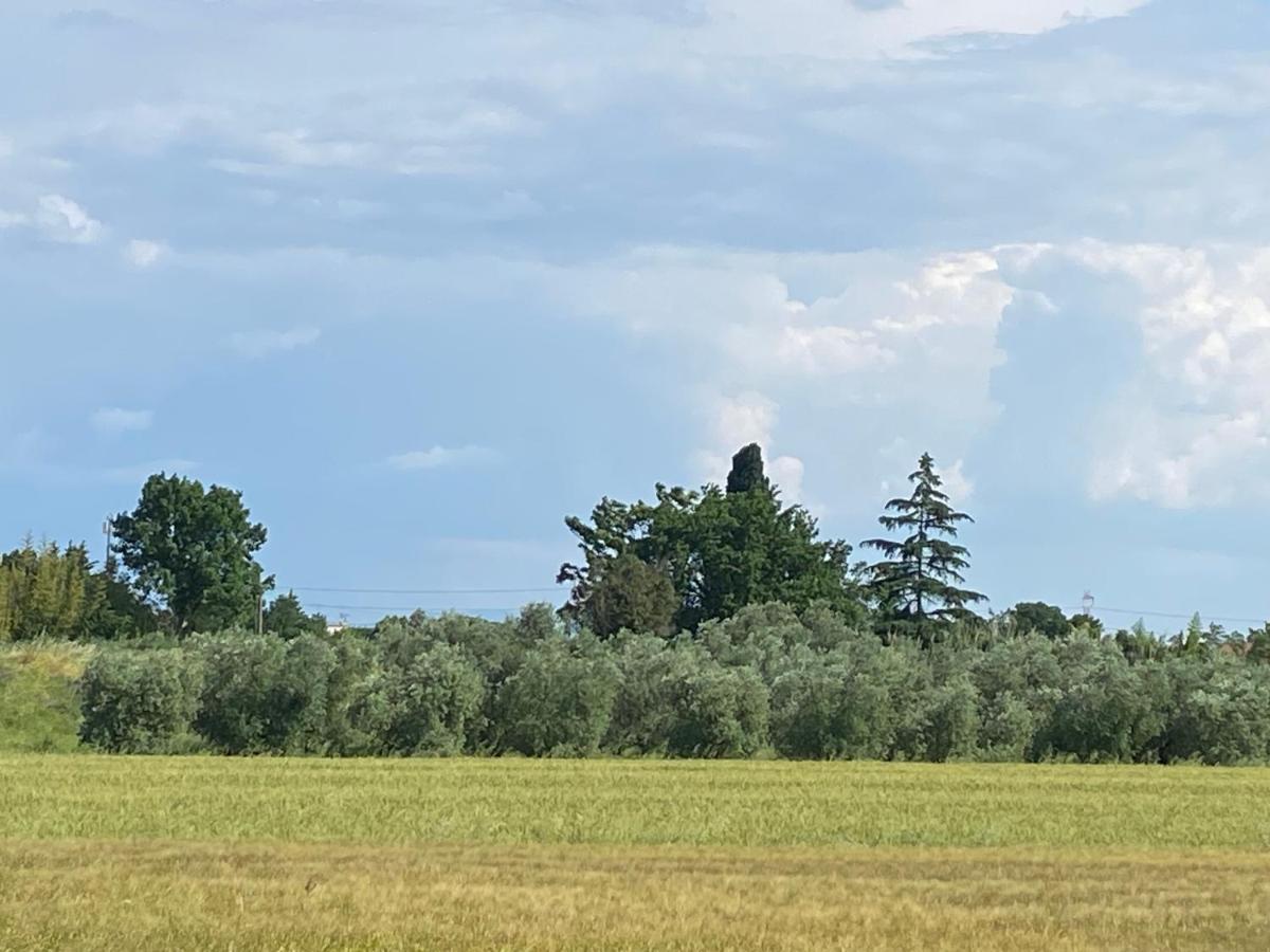 Accanto A Firenze Πράτο Εξωτερικό φωτογραφία
