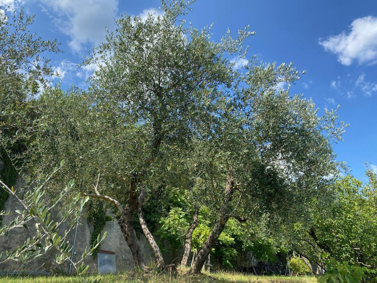 Accanto A Firenze Πράτο Εξωτερικό φωτογραφία