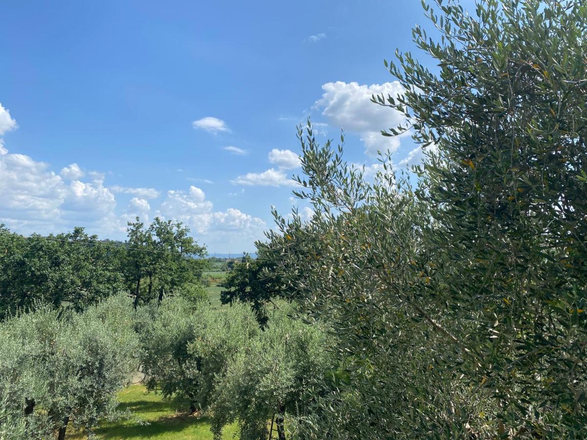 Accanto A Firenze Πράτο Εξωτερικό φωτογραφία