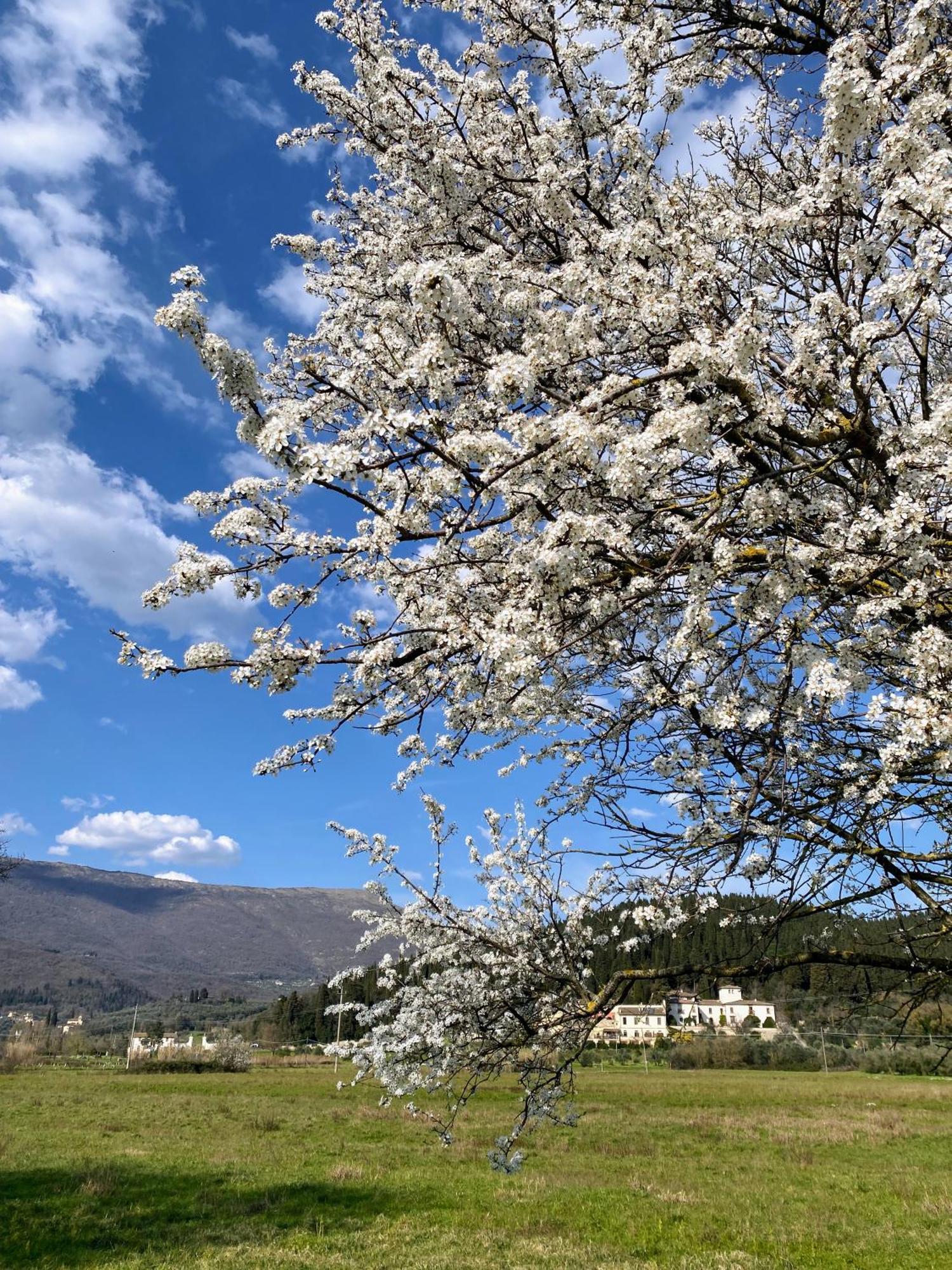 Accanto A Firenze Πράτο Εξωτερικό φωτογραφία